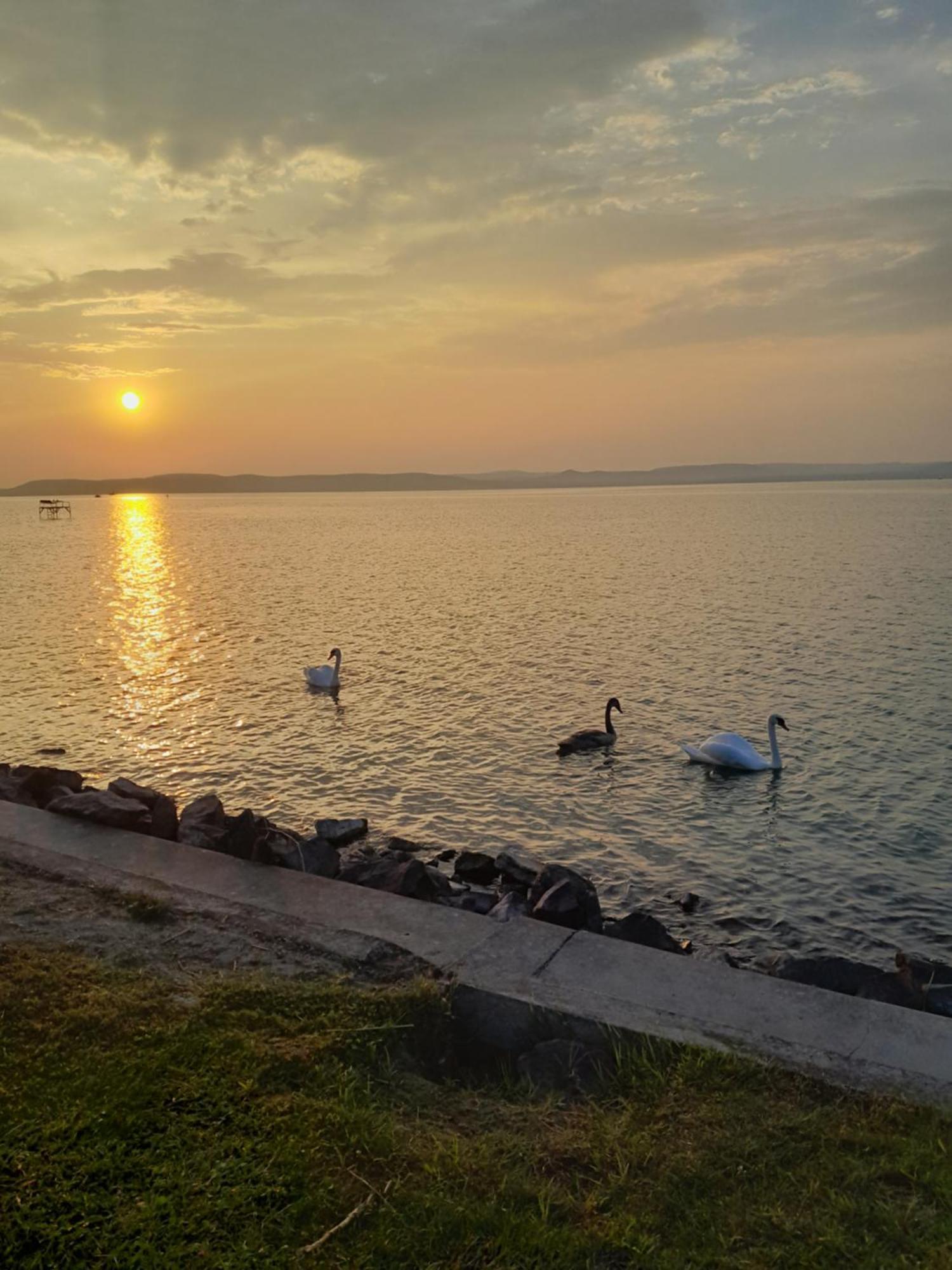 Traumlage Direkt Am See Balatonszárszó Zewnętrze zdjęcie